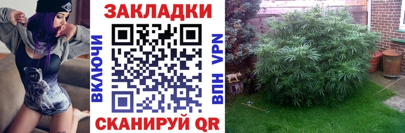 Купить закладку ГАШ  MDMA  АМФ  Меф мяу мяу  Альфа ПВП  МАРИХУАНА  Гдов