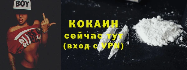 гашик Карталы