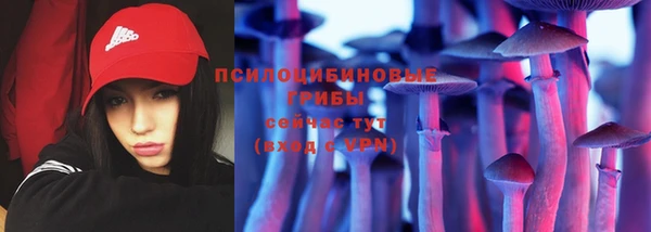 ПСИЛОЦИБИНОВЫЕ ГРИБЫ Касимов