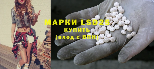 ПСИЛОЦИБИНОВЫЕ ГРИБЫ Касимов