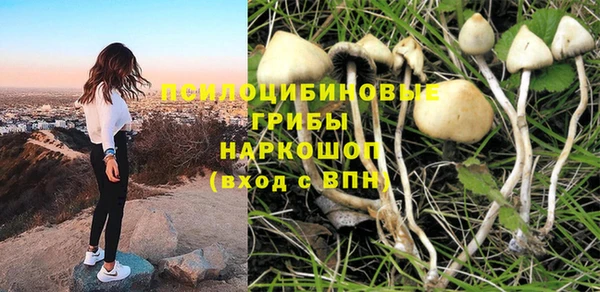 гашик Карталы