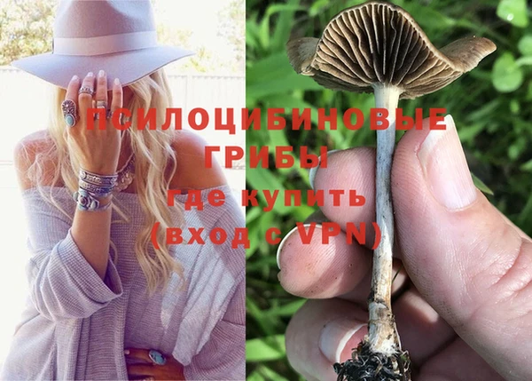 гашик Карталы