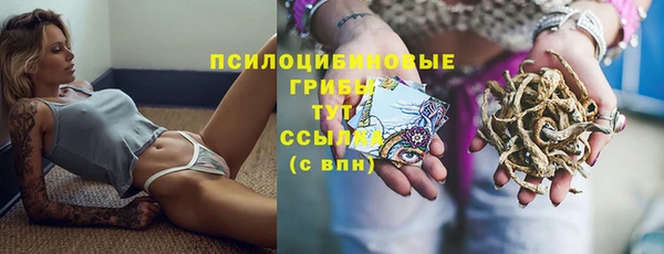 мескалин Карпинск