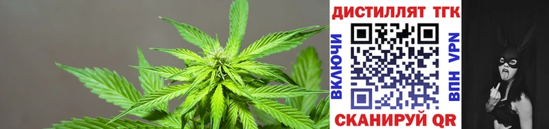 ТГК вейп с тгк  Купить закладки  Гдов 