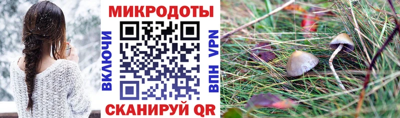 Псилоцибиновые грибы Cubensis  Купить  Гдов 